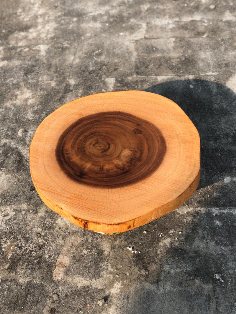 Natural Wooden Sliced Log - zeests.com - Best place for furniture, home decor and all you need